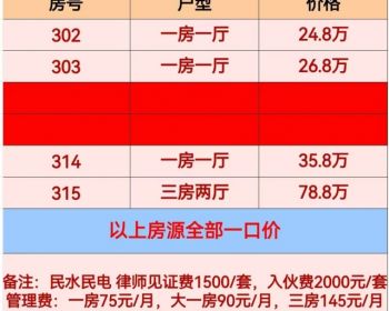 深圳地铁25号线华昌站100米（大浪幸福城）商业中心600米！