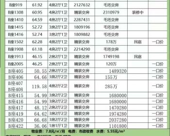 深圳罗湖小产权房 【万象新天地】香港人买小产权房必看罗湖万象新天地