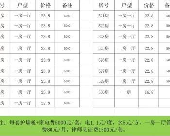龙华3月又出新品【大浪华府】小户型Loft一房23.8万 能租1800/月