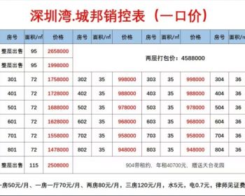 深圳湾·城邦-南山超级总部核心区域:白石洲小产权房