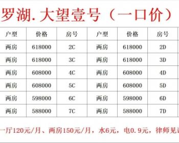 深圳罗湖梧桐山小产权房【大望壹号】全新精装现房