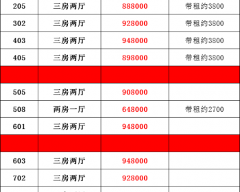 深圳龙华上塘传奇，上塘最新小产权楼盘，精装双地铁口项目，带独立阳台