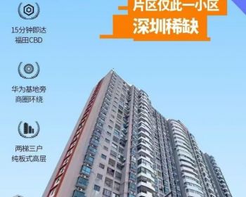 深圳坂田大富豪花园唯一在售真正村委统建楼，2梯3户，高达93%的使用率！最长分期十年（银行放贷）