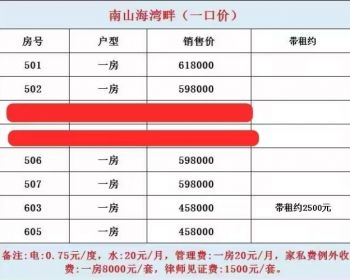 深圳蛇口《南山海湾畔》踞守蛇口四海公园旁，双地铁资产