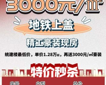 深圳龙华牛湖统建楼，观澜港铁天境“真正的地铁上盖物业”精装新盘~是新盘