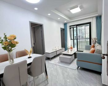 深圳龙华文化广场旁小产权房【和风雅苑】瓦窑排新盘