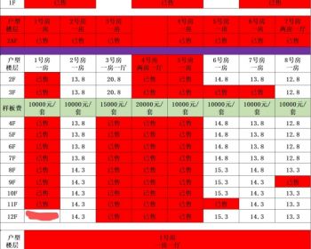 深圳龙华大浪上岭排新村小产权房“白菜价12.8万/套”电梯房