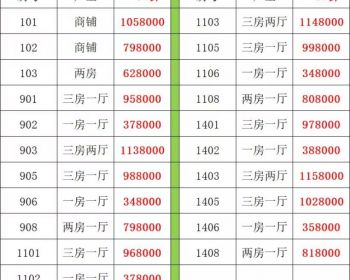 深圳北站壹号，民治樟坑小产权房6年来首个新盘推出：总价34.8万起