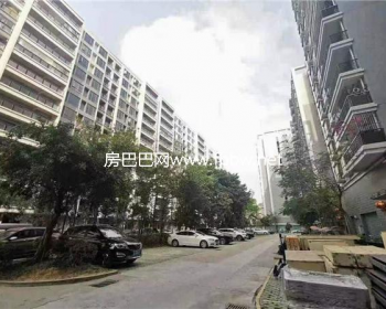 东莞桥头【桥头东江花园】十栋住宅花园