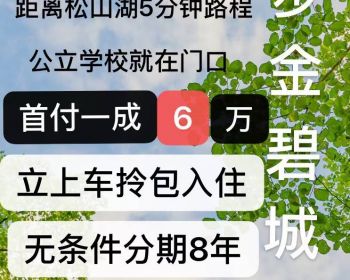 东莞寮步金碧城， 寮步西溪精装小产权房三房首付6万分8年