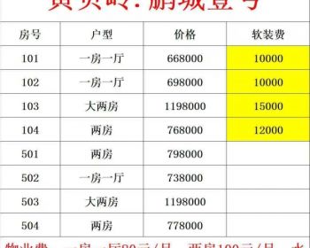 深圳罗湖鹏城壹号“可落户”黄贝岭小产权房新盘