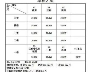 深圳16号线龙园地铁站小产权房-南联幸运之星总价9.8万/套