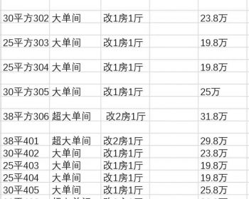深圳3号线永湖地铁站旁小产权房——横岗星河未来公馆8000/平买拆迁房