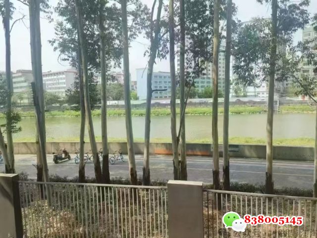 1746027804332483.jpg 微信图片_20250430234127.jpg